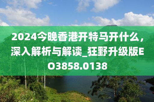 2024今晚香港开特马开什么，深入解析与解读_狂野升级版EO3858.0138