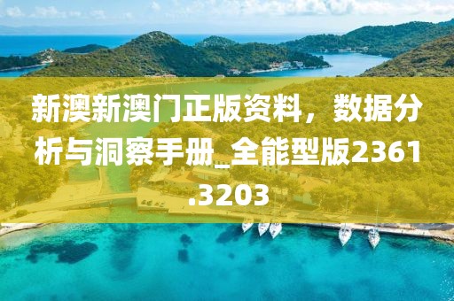 新澳新澳门正版资料，数据分析与洞察手册_全能型版2361.3203