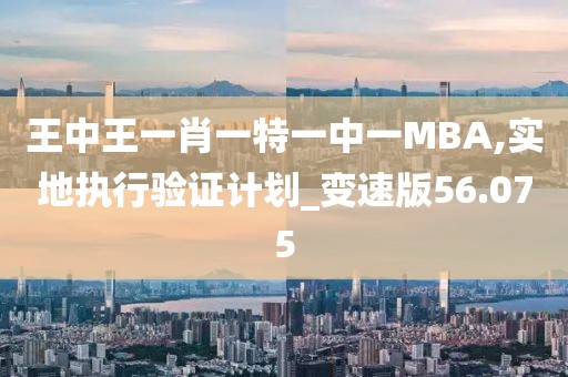 王中王一肖一特一中一MBA,实地执行验证计划_变速版56.075