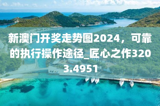 新澳门开奖走势图2024，可靠的执行操作途径_匠心之作3203.4951