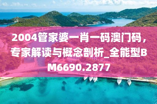 2004管家婆一肖一码澳门码，专家解读与概念剖析_全能型BM6690.2877