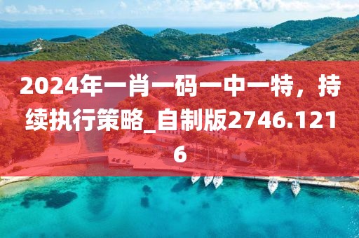 2024年一肖一码一中一特，持续执行策略_自制版2746.1216