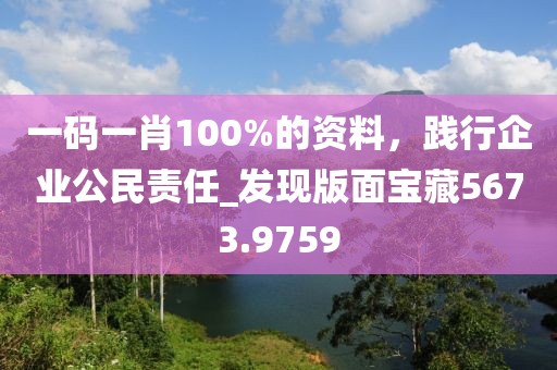 一码一肖100%的资料，践行企业公民责任_发现版面宝藏5673.9759