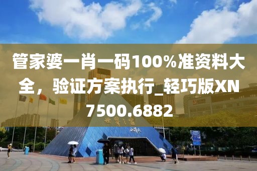 管家婆一肖一码100%准资料大全，验证方案执行_轻巧版XN7500.6882