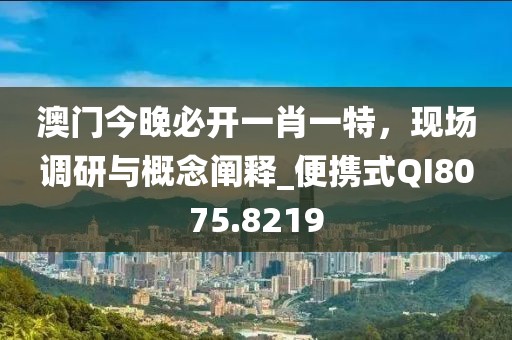澳门今晚必开一肖一特，现场调研与概念阐释_便携式QI8075.8219