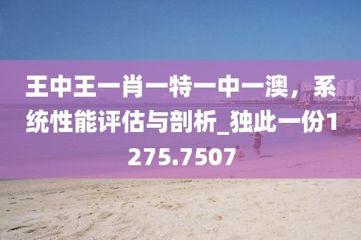王中王一肖一特一中一澳，系统性能评估与剖析_独此一份1275.7507