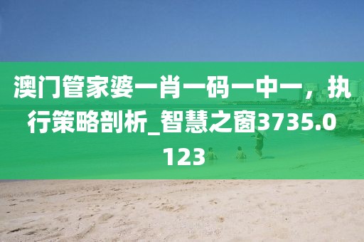 澳门管家婆一肖一码一中一，执行策略剖析_智慧之窗3735.0123