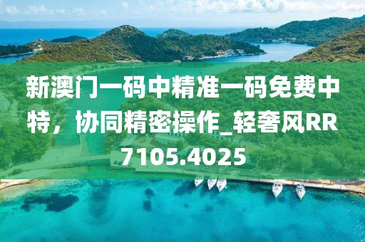 新澳门一码中精准一码免费中特，协同精密操作_轻奢风RR7105.4025