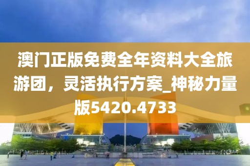 澳门正版免费全年资料大全旅游团，灵活执行方案_神秘力量版5420.4733