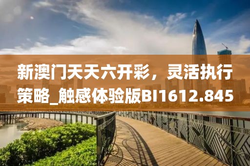 新澳门天天六开彩，灵活执行策略_触感体验版BI1612.845