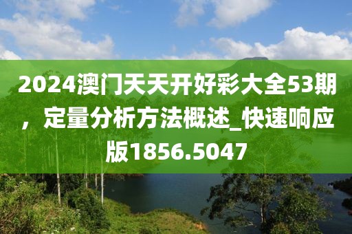 2024澳门天天开好彩大全53期，定量分析方法概述_快速响应版1856.5047