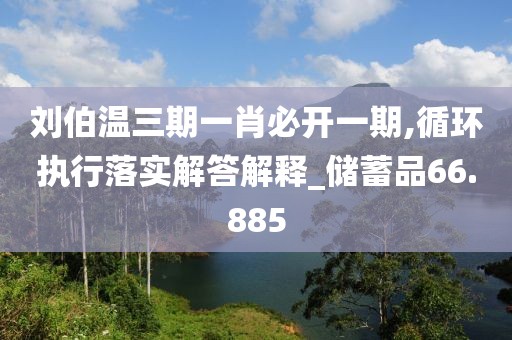 刘伯温三期一肖必开一期,循环执行落实解答解释_储蓄品66.885