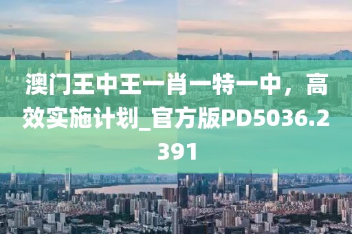 澳门王中王一肖一特一中，高效实施计划_官方版PD5036.2391