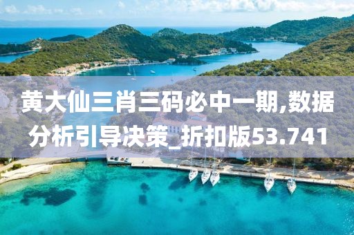 黄大仙三肖三码必中一期,数据分析引导决策_折扣版53.741