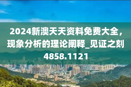 2024新澳天天资料免费大全，现象分析的理论阐释_见证之刻4858.1121