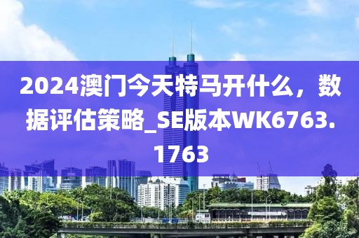 2024澳门今天特马开什么，数据评估策略_SE版本WK6763.1763