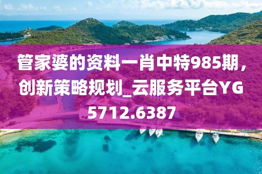 管家婆的资料一肖中特985期，创新策略规划_云服务平台YG5712.6387