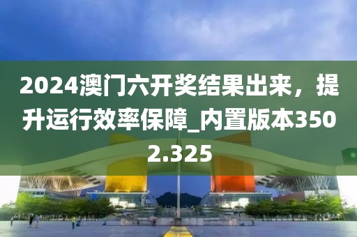 2024澳门六开奖结果出来，提升运行效率保障_内置版本3502.325