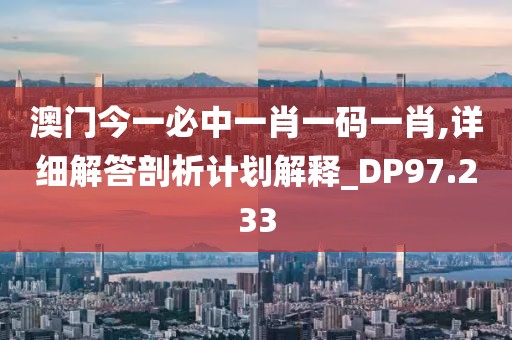 澳门今一必中一肖一码一肖,详细解答剖析计划解释_DP97.233