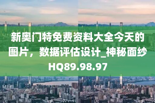 新奥门特免费资料大全今天的图片，数据评估设计_神秘面纱HQ89.98.97