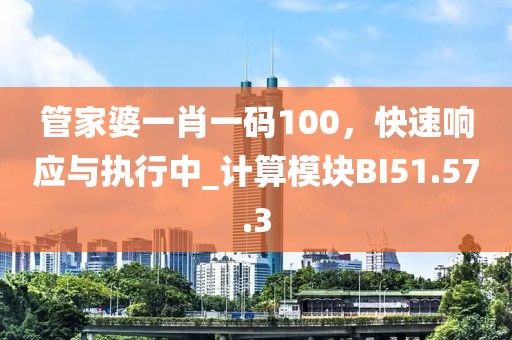 管家婆一肖一码100，快速响应与执行中_计算模块BI51.57.3