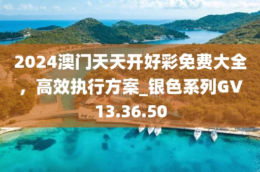 2024澳门天天开好彩免费大全，高效执行方案_银色系列GV13.36.50