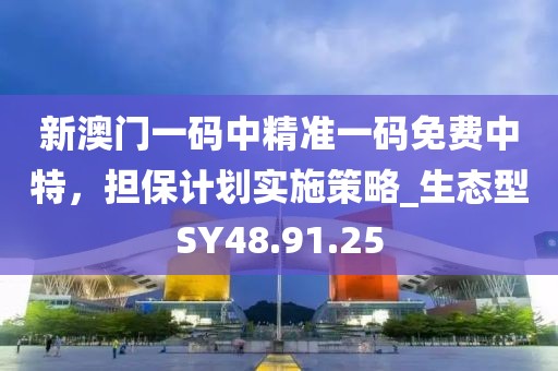 新澳门一码中精准一码免费中特，担保计划实施策略_生态型SY48.91.25