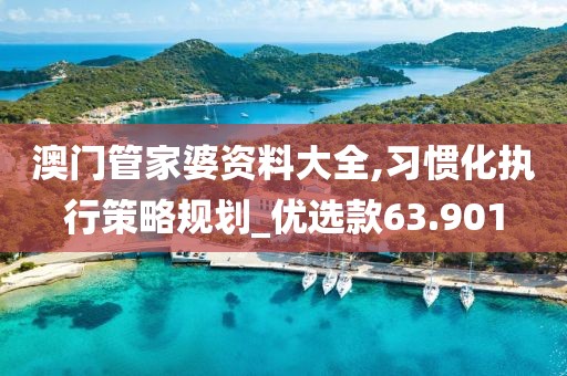 澳门管家婆资料大全,习惯化执行策略规划_优选款63.901