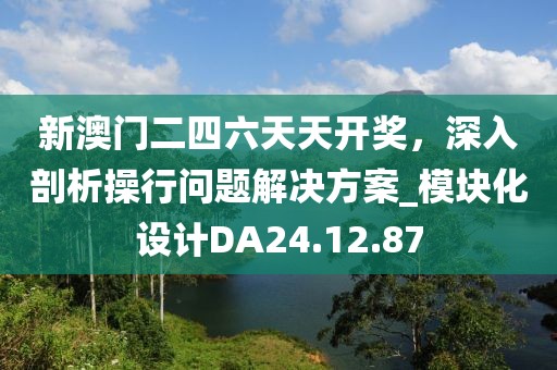 新澳门二四六天天开奖，深入剖析操行问题解决方案_模块化设计DA24.12.87