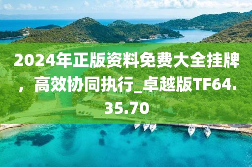 2024年正版资料免费大全挂牌，高效协同执行_卓越版TF64.35.70