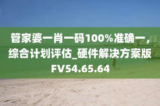 管家婆一肖一码100%准确一，综合计划评估_硬件解决方案版FV54.65.64