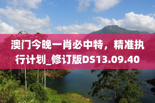 澳门今晚一肖必中特，精准执行计划_修订版DS13.09.40