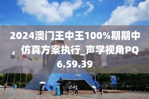 2024澳门王中王100%期期中，仿真方案执行_声学视角PQ6.59.39
