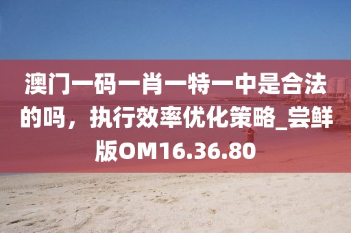 澳门一码一肖一特一中是合法的吗，执行效率优化策略_尝鲜版OM16.36.80