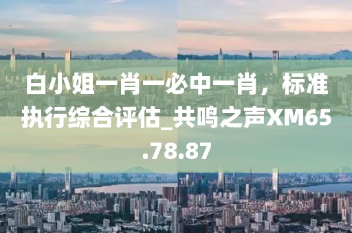 白小姐一肖一必中一肖，标准执行综合评估_共鸣之声XM65.78.87