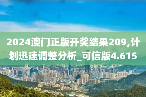2024澳门正版开奖结果209,计划迅速调整分析_可信版4.615