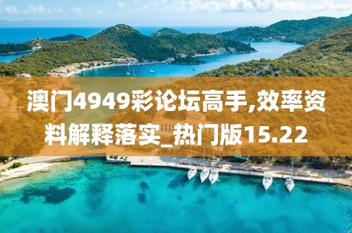 澳门4949彩论坛高手,效率资料解释落实_热门版15.22