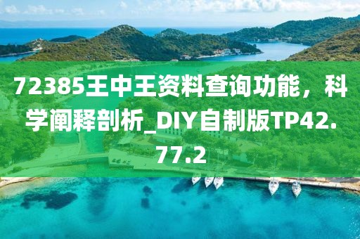 72385王中王资料查询功能，科学阐释剖析_DIY自制版TP42.77.2