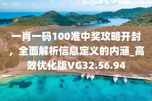 一肖一码100准中奖攻略开封，全面解析信息定义的内涵_高效优化版VG32.56.94