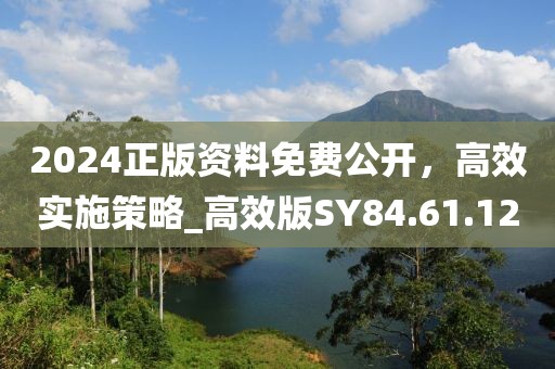 2024正版资料免费公开，高效实施策略_高效版SY84.61.12