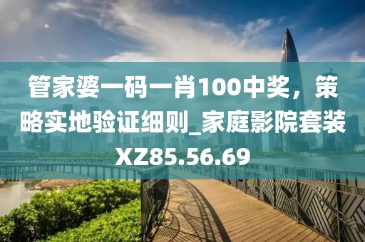 管家婆一码一肖100中奖，策略实地验证细则_家庭影院套装XZ85.56.69