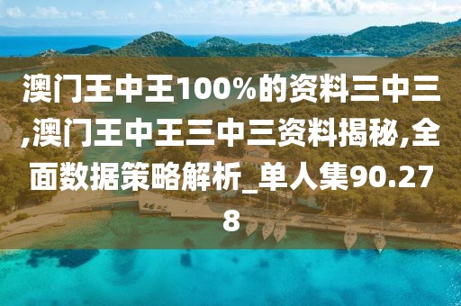 澳门王中王100%的资料三中三,澳门王中王三中三资料揭秘,全面数据策略解析_单人集90.278