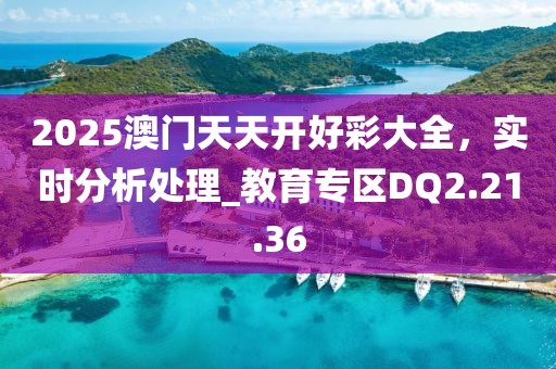 2025澳门天天开好彩大全，实时分析处理_教育专区DQ2.21.36