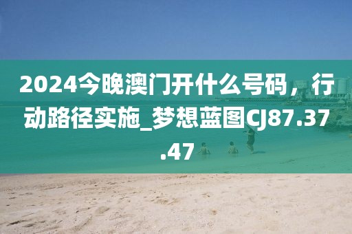2024今晚澳门开什么号码，行动路径实施_梦想蓝图CJ87.37.47