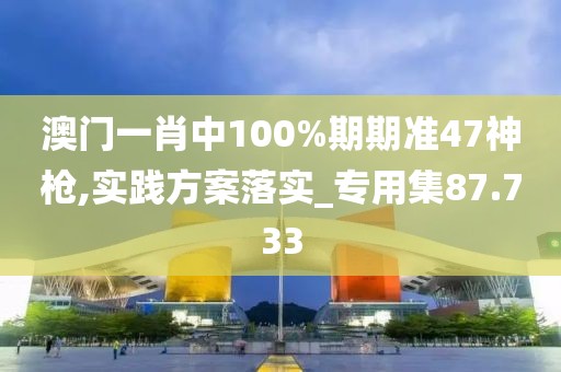 澳门一肖中100%期期准47神枪,实践方案落实_专用集87.733