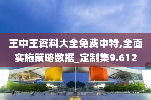 王中王资料大全免费中特,全面实施策略数据_定制集9.612