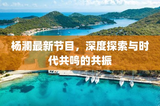 杨澜最新节目，深度探索与时代共鸣的共振