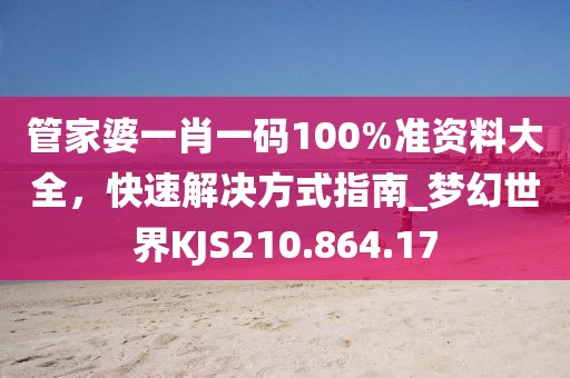 管家婆一肖一码100%准资料大全，快速解决方式指南_梦幻世界KJS210.864.17