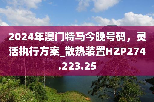 2024年澳门特马今晚号码，灵活执行方案_散热装置HZP274.223.25