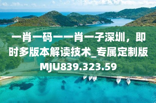 一肖一码一一肖一子深圳，即时多版本解读技术_专属定制版MJU839.323.59